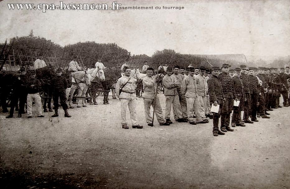 4me Régiment d'Artillerie - Rassemblement du fourrage